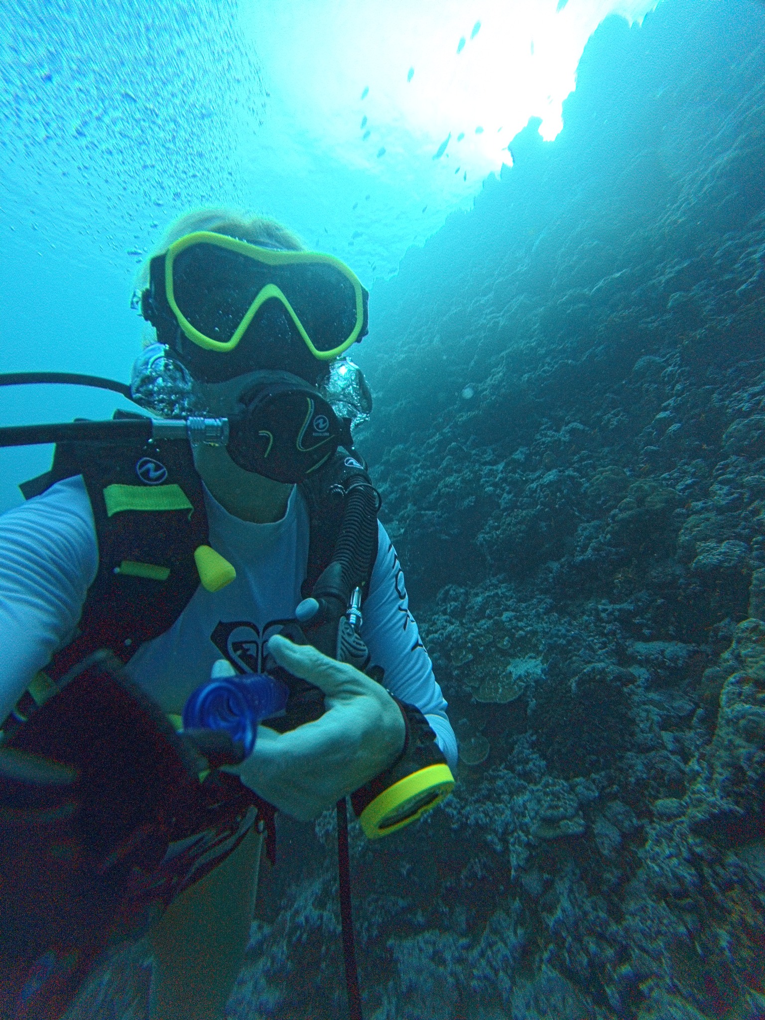 Shore dive · ocean experience inspiration